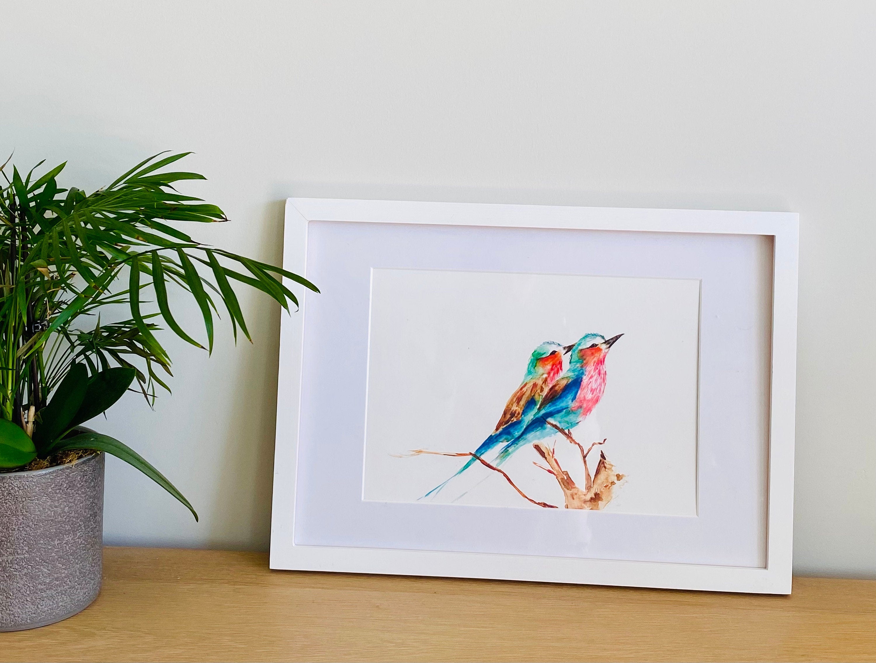 Lilac Breasted Roller, Bird Art, Lilac Roller Buddies, Giclée print - by artist Sarah Epsom