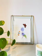 Butterflies 'Watermint Waltz' -A4 Giclée Print