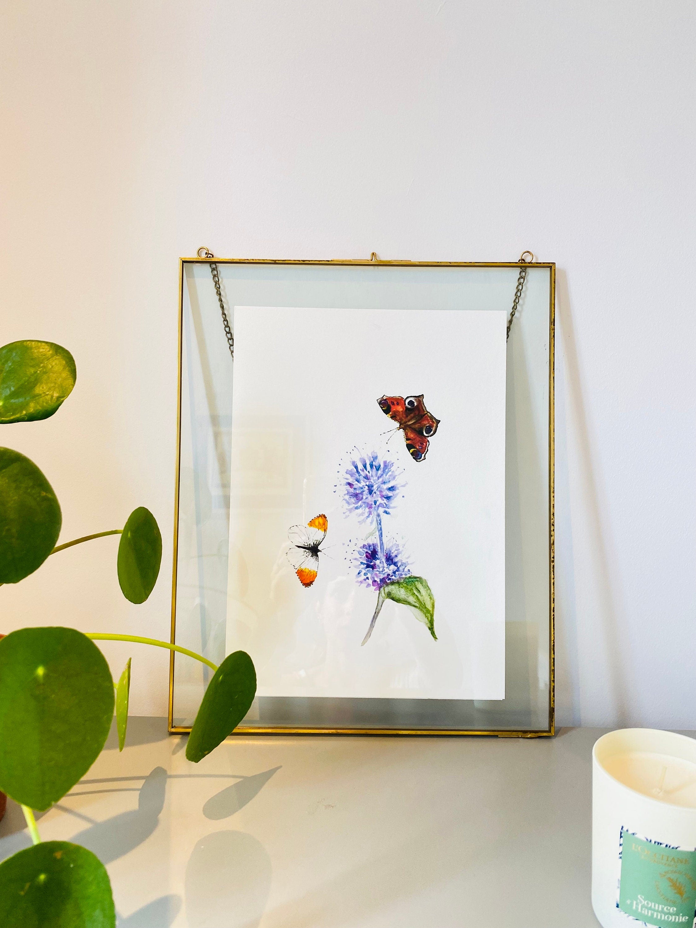 Butterflies 'Watermint Waltz' -A4 Giclée Print