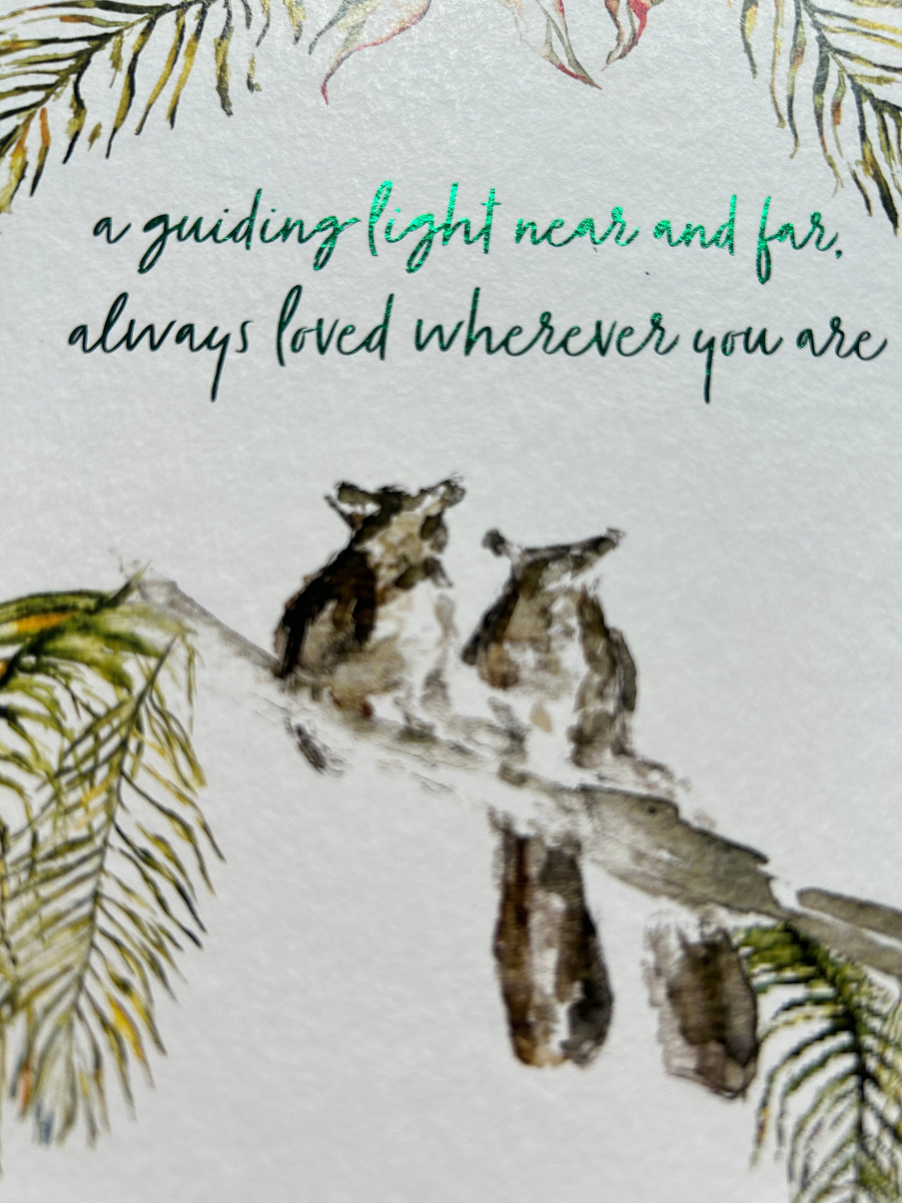 Bushbaby 'A guiding light near and far always loved' Fathers Day - by Sarah Epsom