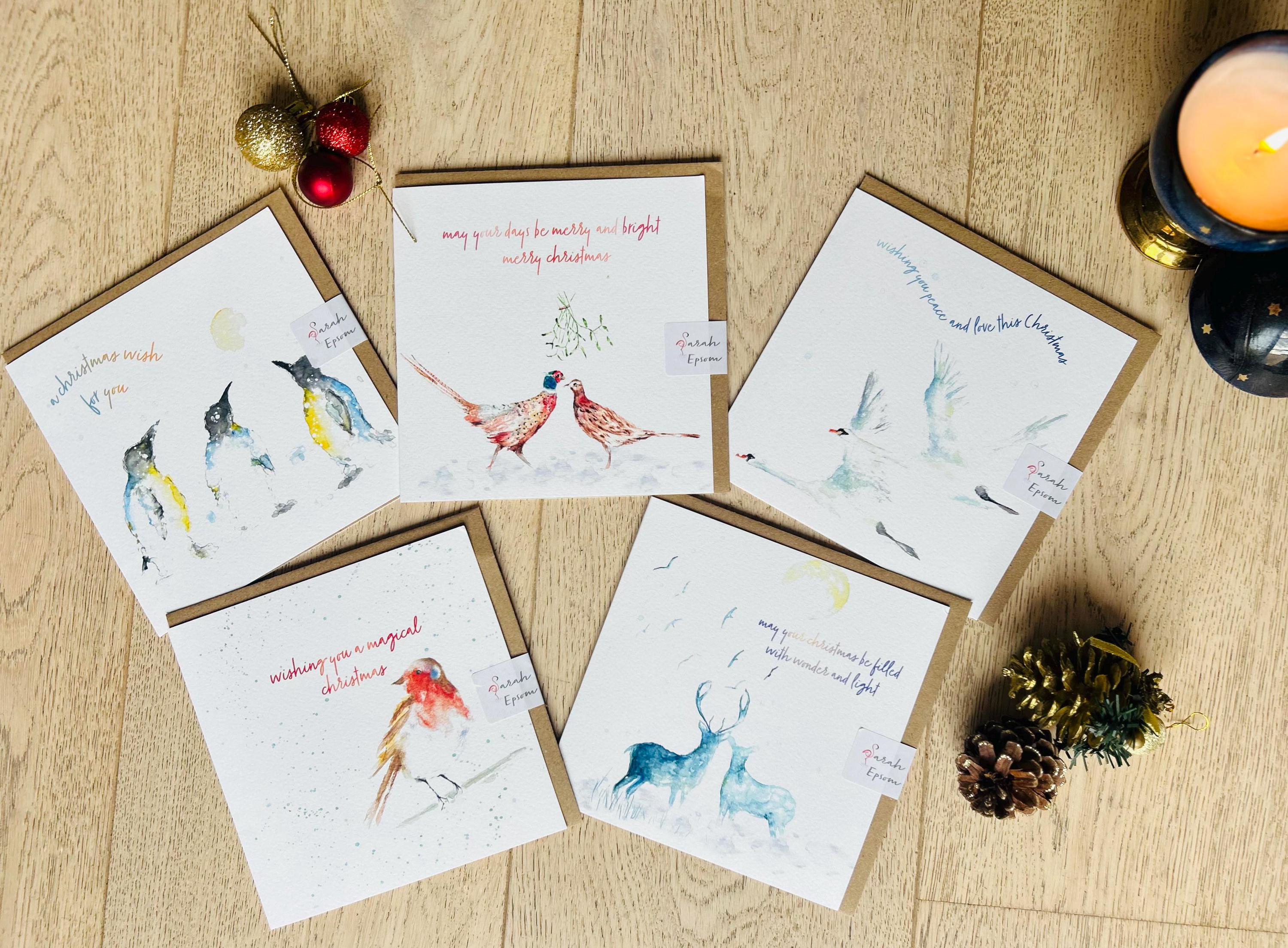 Christmas Card Pack, Greeting Cards - by Sarah Epsom