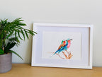 Lilac Breasted Roller, Bird Art, Lilac Roller Buddies, Giclée print - by artist Sarah Epsom