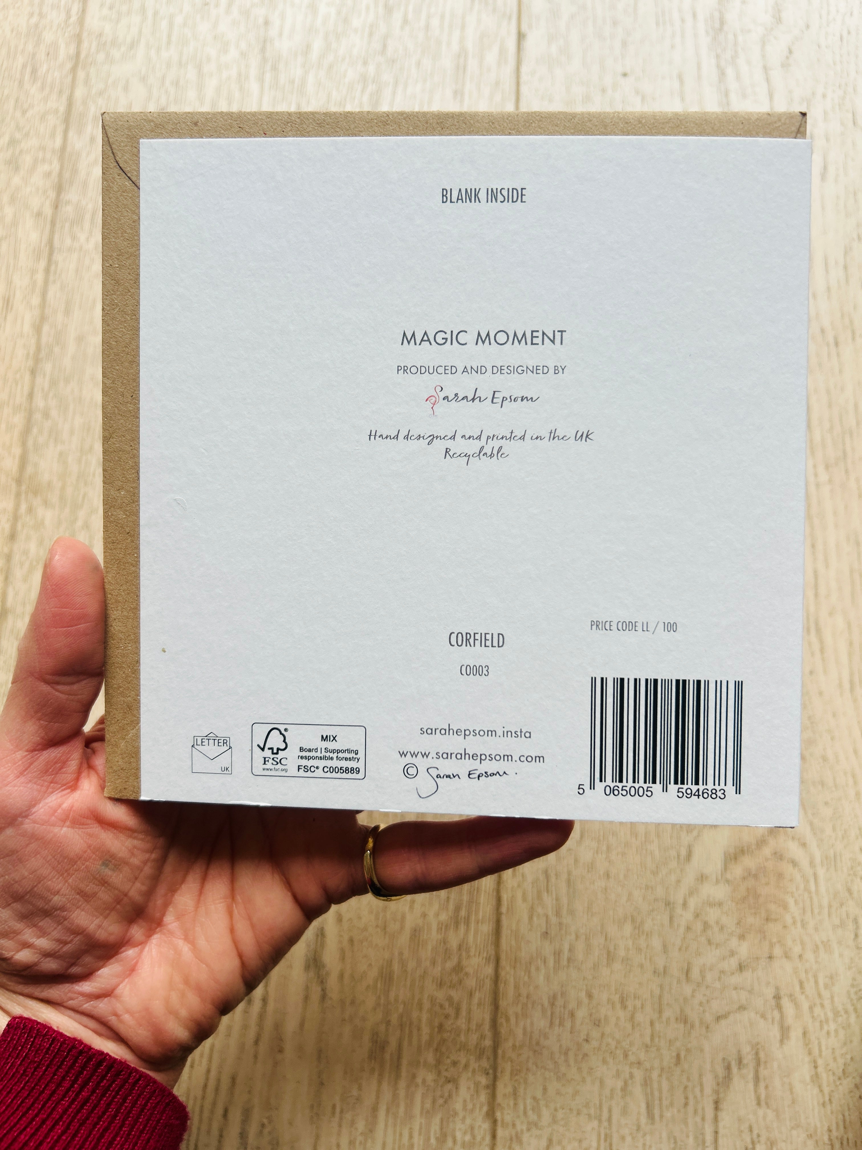 Dragonflies - Find beauty in the small things 'Magic Moment' - by Sarah Epsom