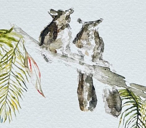 Bushbaby, 'Home' Greeting Card - by Sarah Epsom