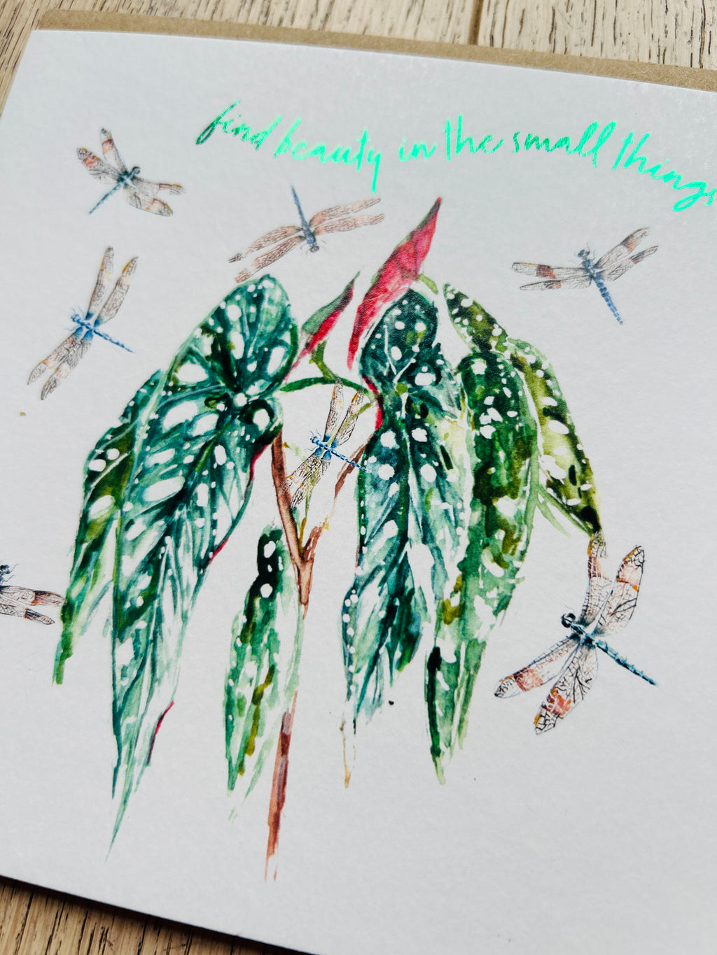 Dragonflies - Find beauty in the small things 'Magic Moment' - by Sarah Epsom