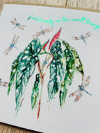 Dragonflies - Find beauty in the small things 'Magic Moment' - by Sarah Epsom