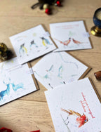 Christmas Card Pack, Greeting Cards - by Sarah Epsom