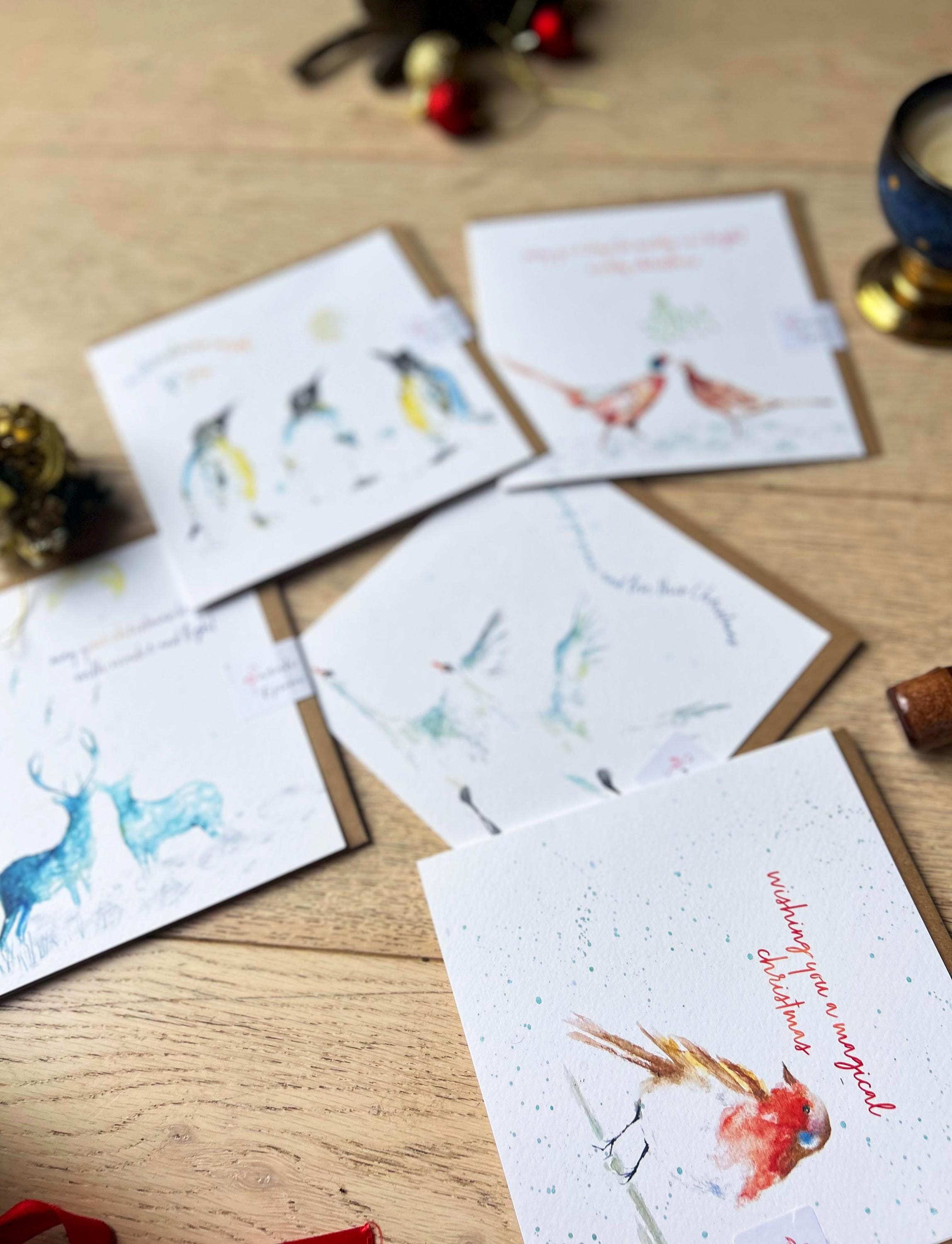 Christmas Card Pack, Greeting Cards - by Sarah Epsom