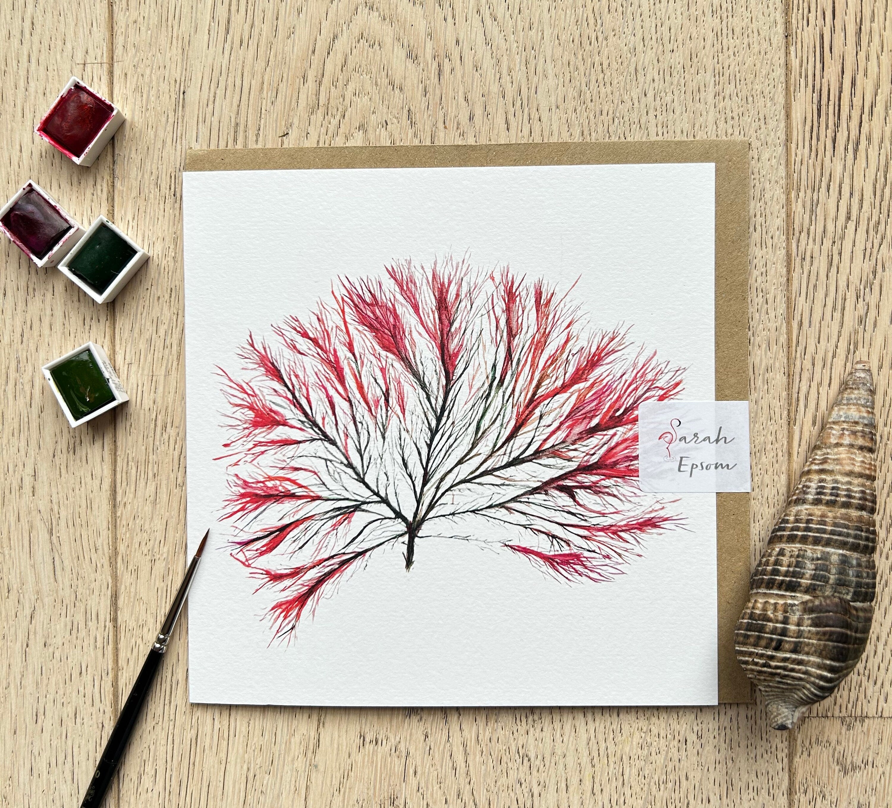 Seaweed painted cards, Seaweed art, Seaweed greeting cards, Ocean Art, Watercolour greeting Card, Blank Note Card, by artist Sarah Epsom