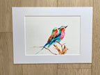 Lilac Breasted Roller, Bird Art, Lilac Roller Buddies, Giclée print - by artist Sarah Epsom