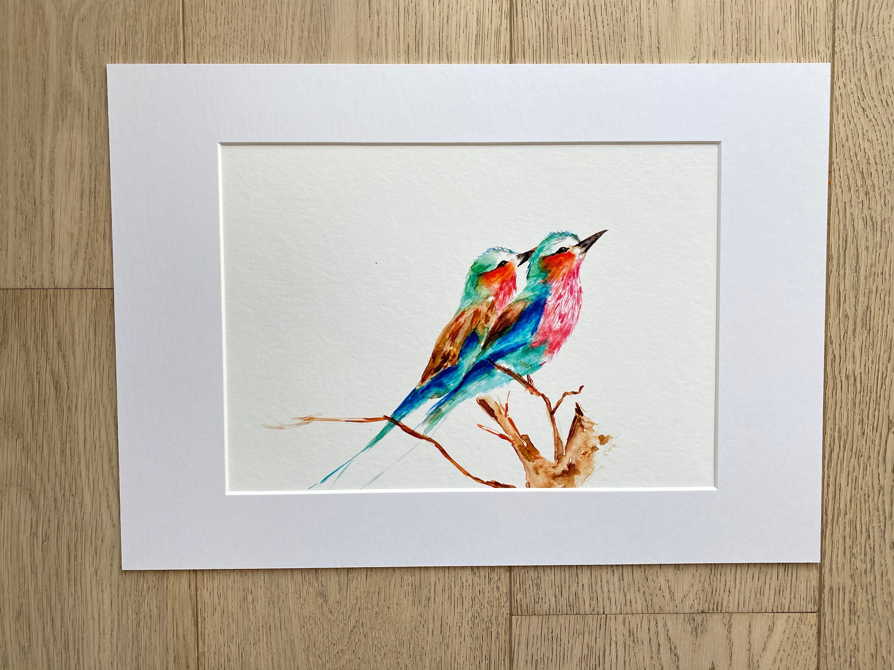 Lilac Breasted Roller, Bird Art, Lilac Roller Buddies, Giclée print - by artist Sarah Epsom