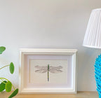 Dragonfly Hawker, A4 Giclée print