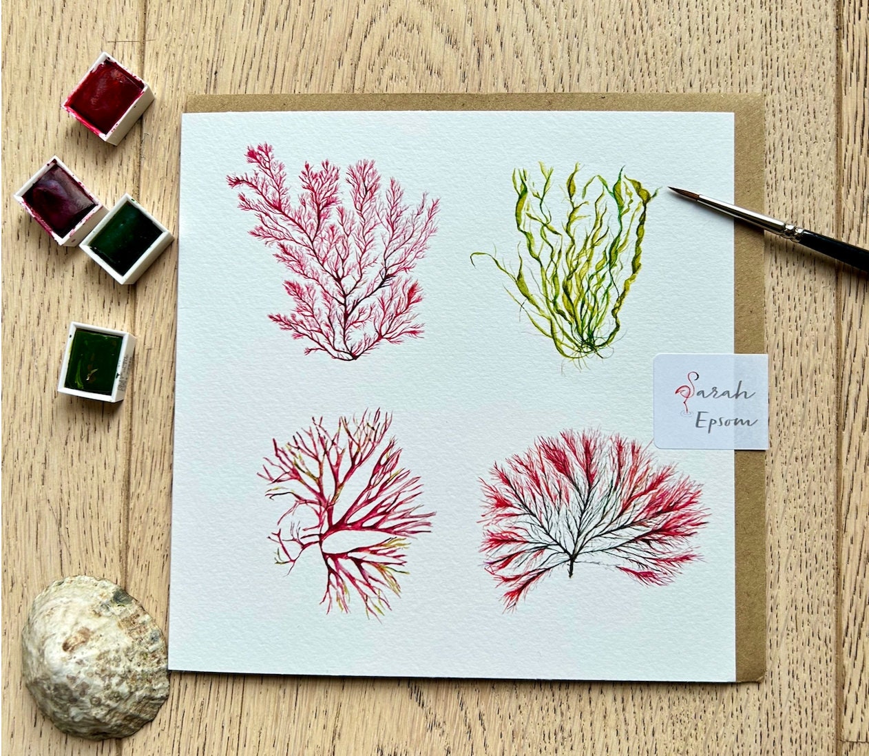 Seaweed Greeting Card, 'Seaweed Pals', Greeting Card - by Sarah Epsom