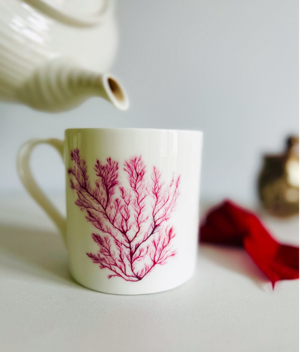Seaweed mug, Life of the Ocean, Seaweed design, Fine Bone China Mug by Sarah Epsom