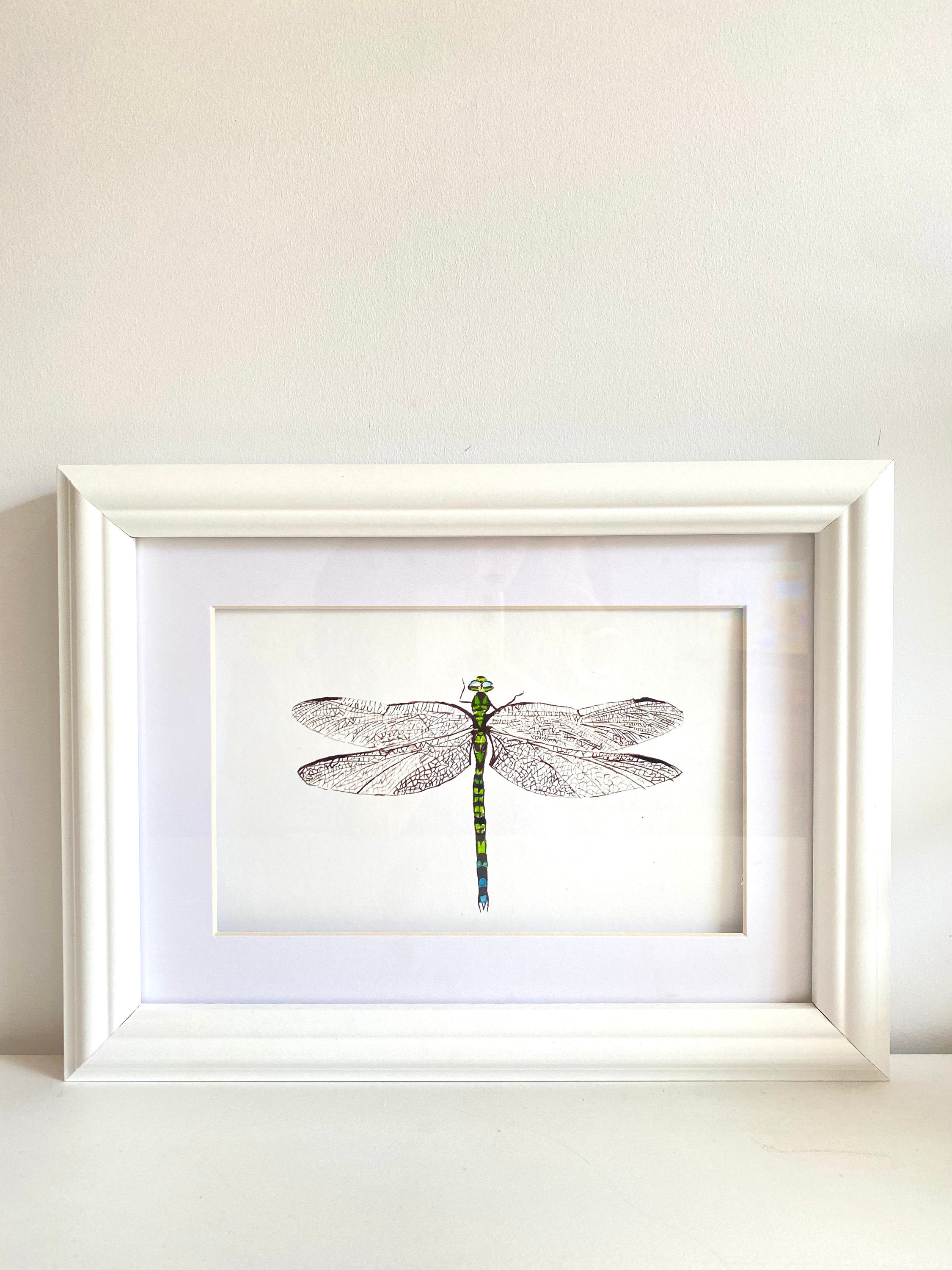 Dragonfly Hawker, A4 Giclée print