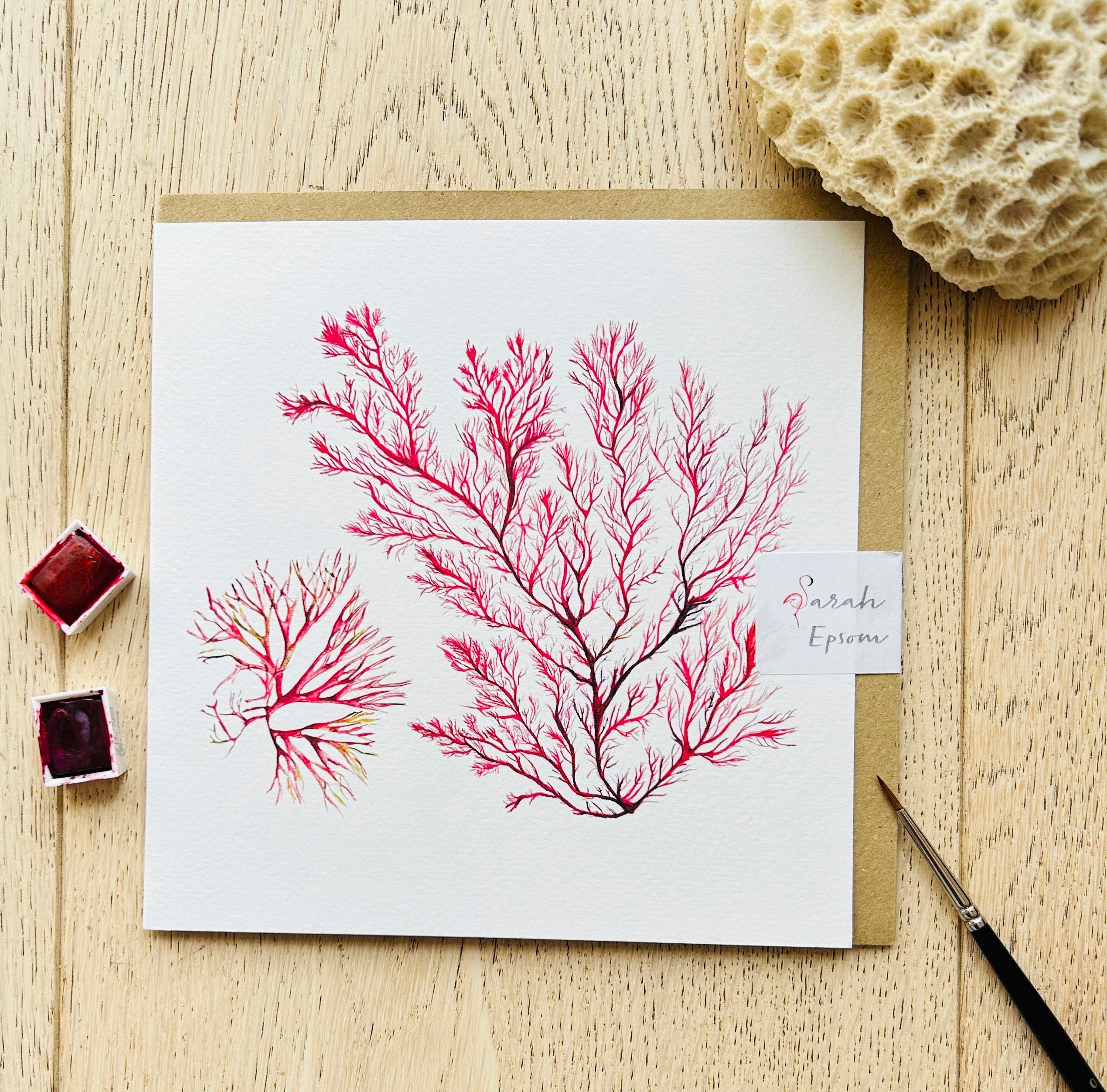 Seaweed Greeting Card, Sea Meadow, Blank Note Card - by artist Sarah Epsom