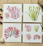 Seaweed painted cards, Seaweed art, Seaweed greeting cards, Ocean Art, Watercolour greeting Card, Blank Note Card, by artist Sarah Epsom