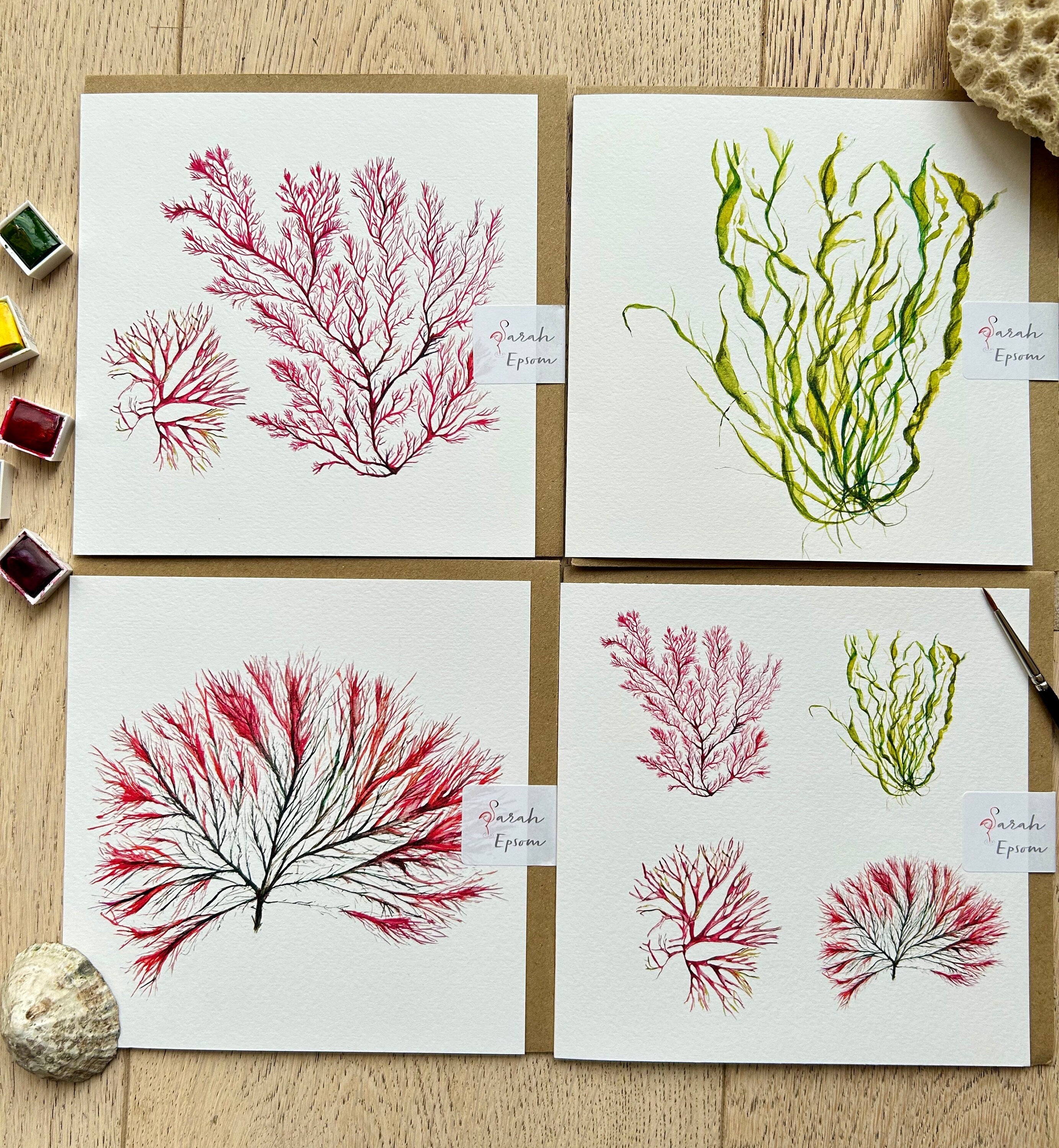 Seaweed painted cards, Seaweed art, Seaweed greeting cards, Ocean Art, Watercolour greeting Card, Blank Note Card, by artist Sarah Epsom