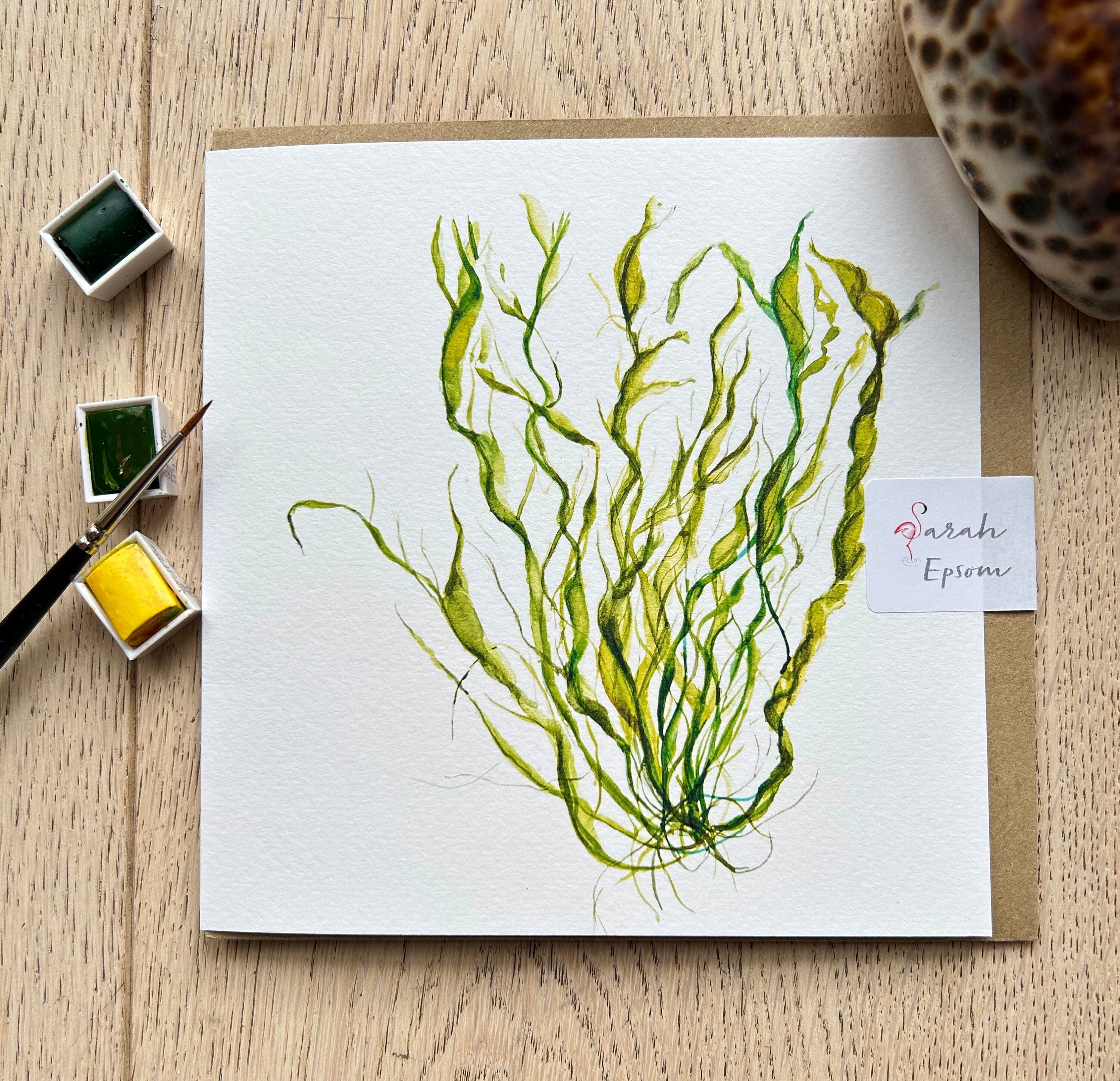 Sea Lettuce, Greeting Card - by Sarah Epsom