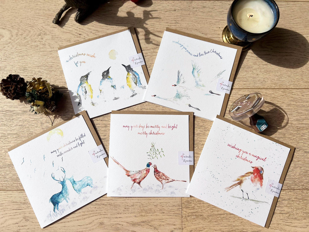 Christmas Card Pack, Greeting Cards - by Sarah Epsom