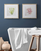 Lettuce Seaweed, Pink Seaweed, Seaweeds, Watercolour Painting, Ocean Decor, Ocean Theme, Seaweed Art