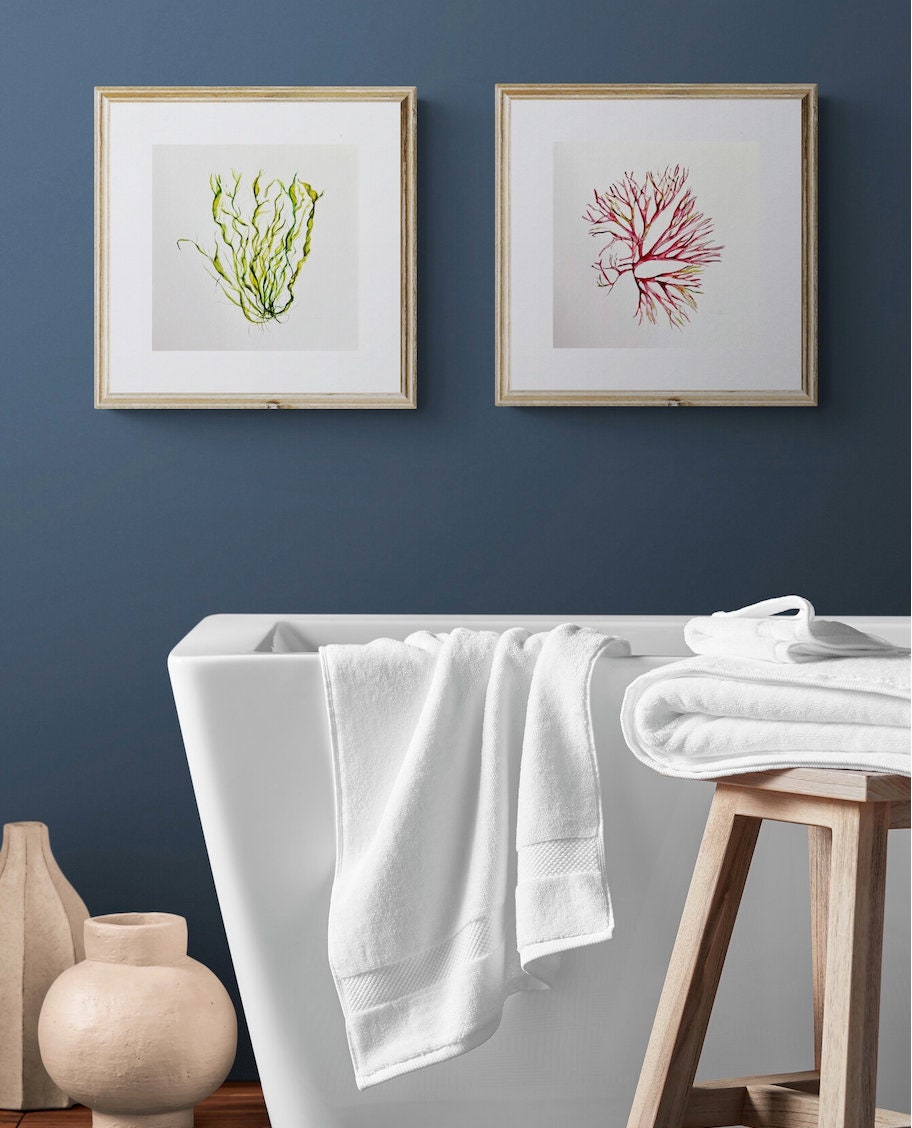 Lettuce Seaweed, Pink Seaweed, Seaweeds, Watercolour Painting, Ocean Decor, Ocean Theme, Seaweed Art