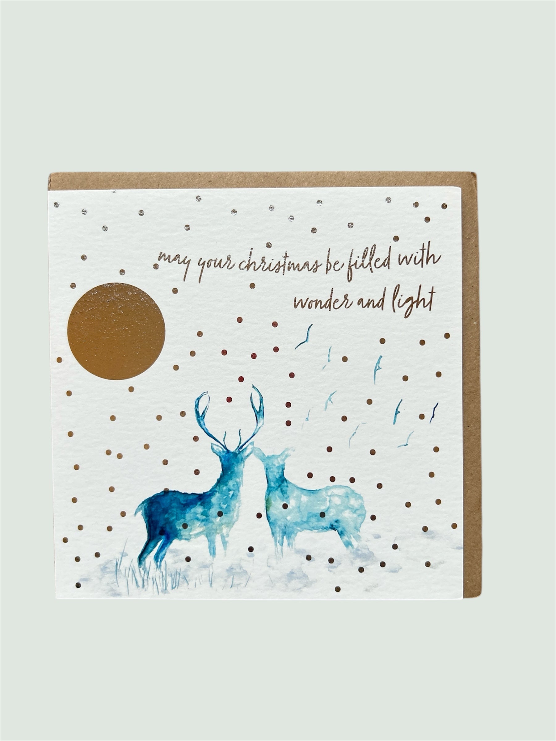 Christmas Wildlife Greeting Cards - by Sarah Epsom