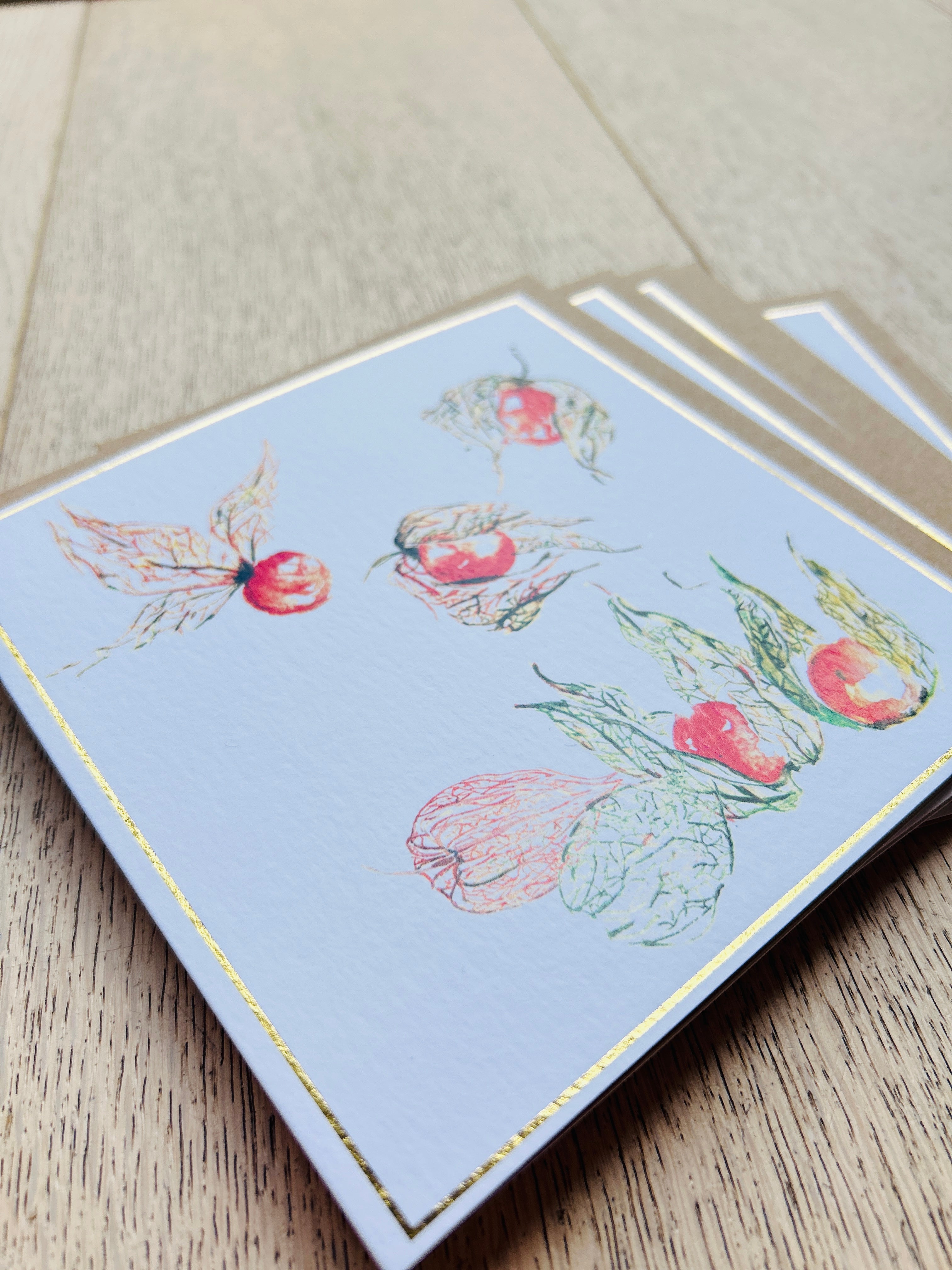 Cape Gooseberry 'Gooseberry Pop' Greeting Card - by Sarah Epsom