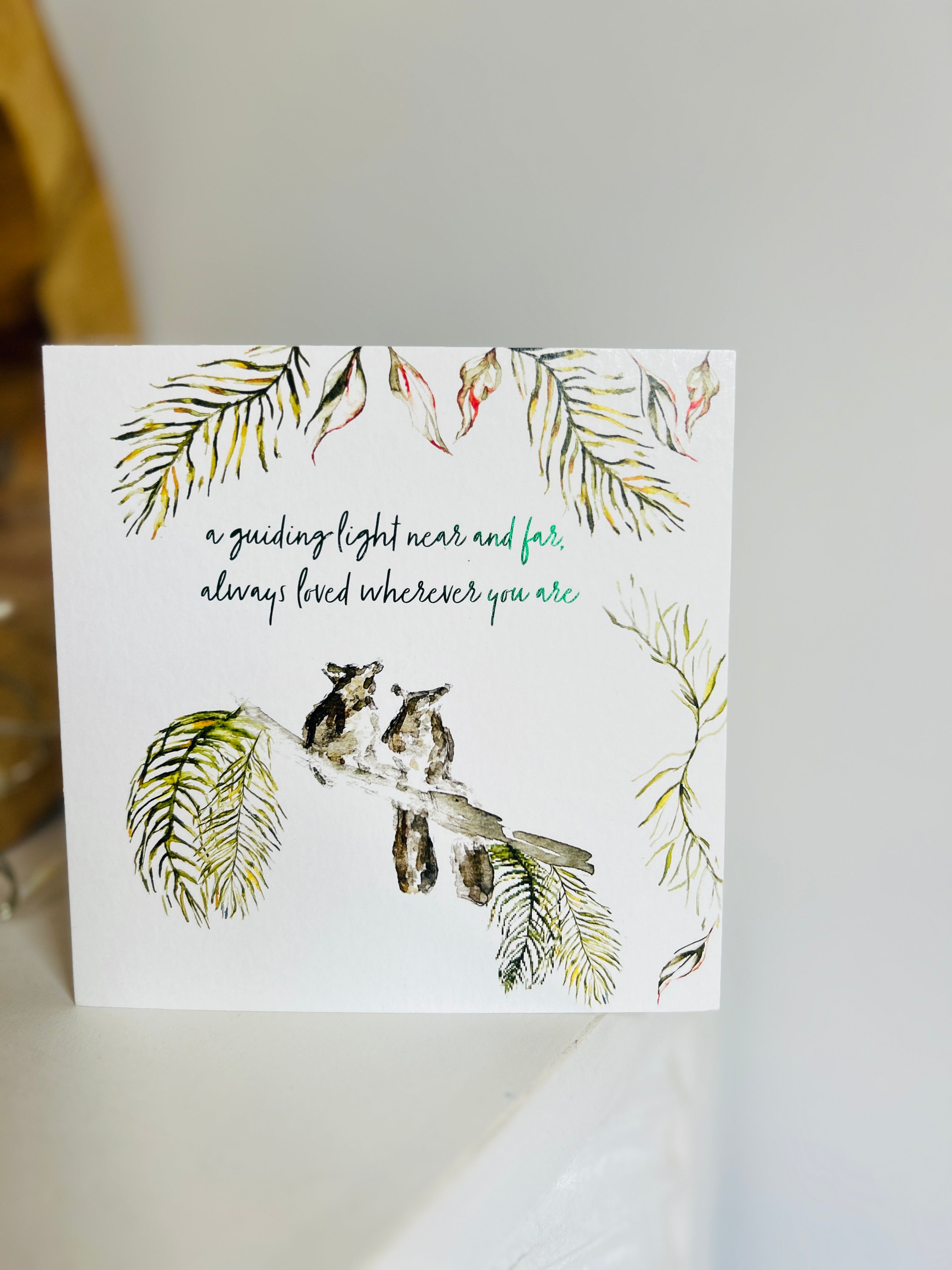 Bushbaby 'A guiding light near and far always loved' Fathers Day - by Sarah Epsom