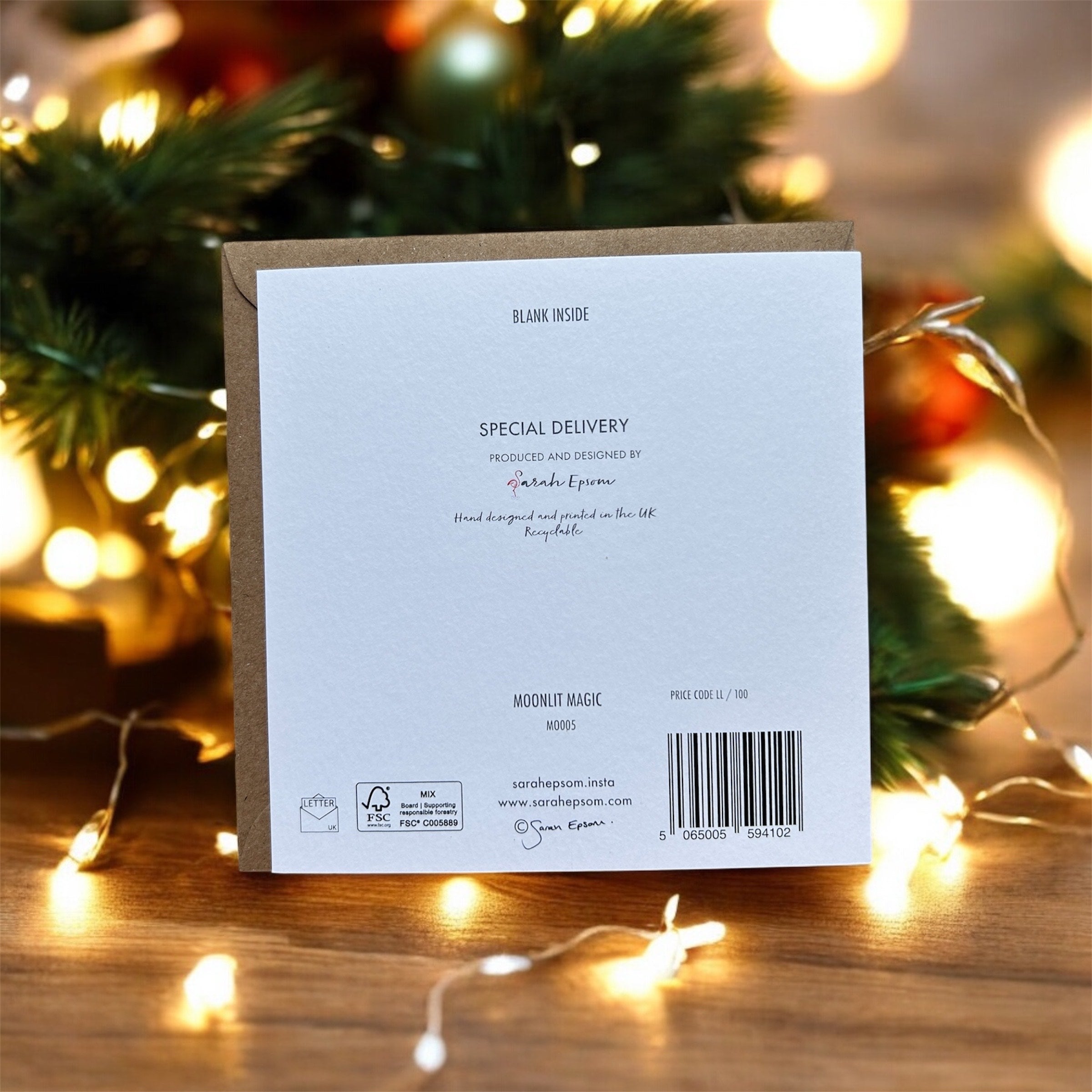 Christmas Card ' Special Delivery' by Sarah Epsom