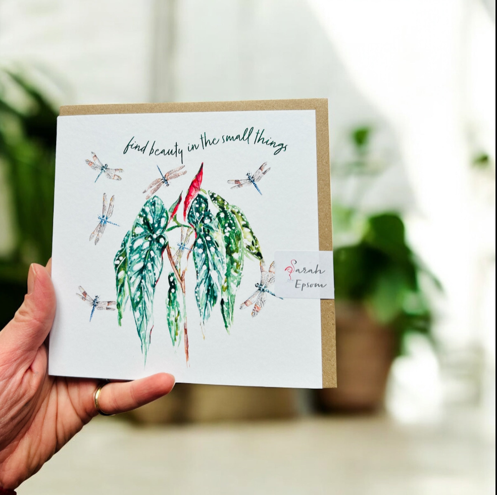 Dragonflies - Find beauty in the small things 'Magic Moment' - by Sarah Epsom