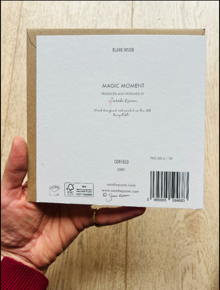 Dragonflies - Find beauty in the small things 'Magic Moment' - by Sarah Epsom