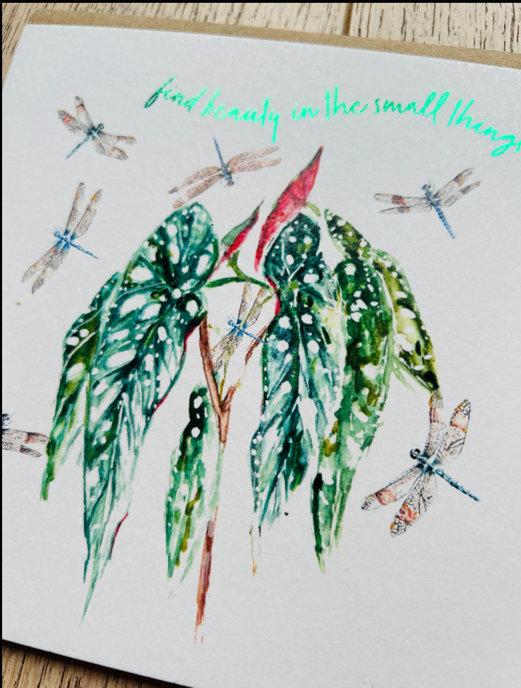 Dragonflies - Find beauty in the small things 'Magic Moment' - by Sarah Epsom
