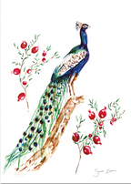 Peacock Print A4 Giclée on Hahnemühle German Etching Paper - by artist Sarah Epsom