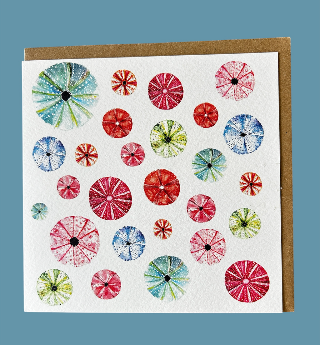 Seaurchins - Ocean greeting card  - by artist Sarah Epsom