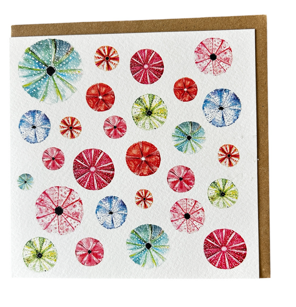 Seaurchins - Ocean greeting card  - by artist Sarah Epsom