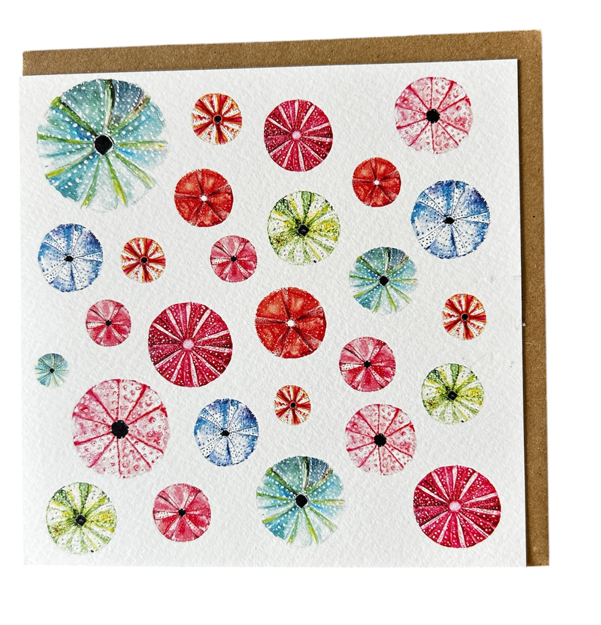 Seaurchins - Ocean greeting card  - by artist Sarah Epsom