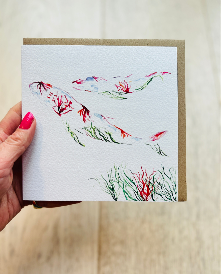 Wildlife Greeting Cards, 'Flora & Fauna' by Sarah Epsom