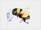 Bumble Bee Print | A3 Giclée on Hahnemühle German Etching Paper by Sarah Epsom