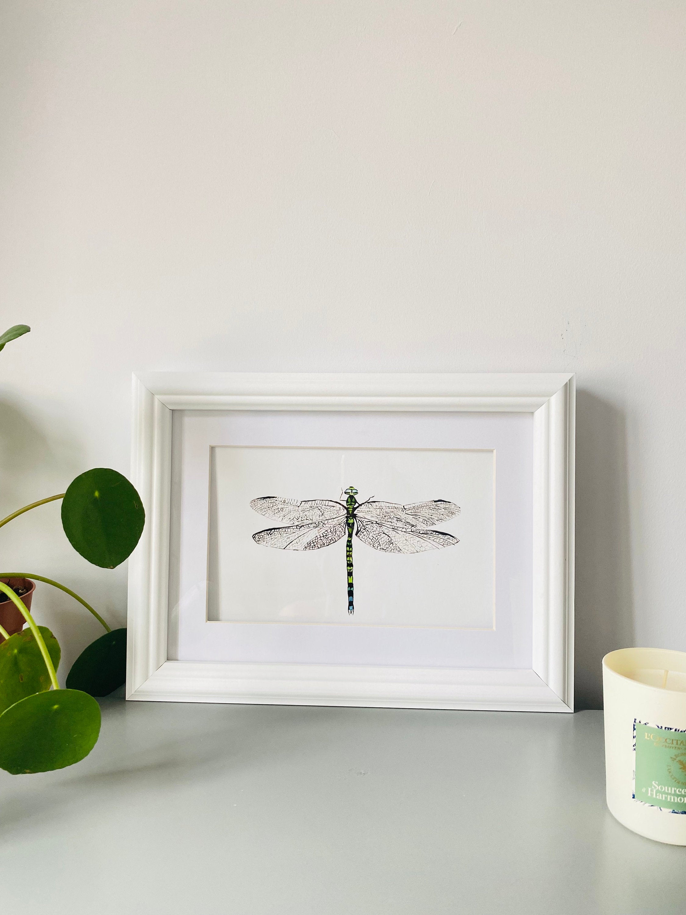Dragonfly Hawker, A4 Giclée print