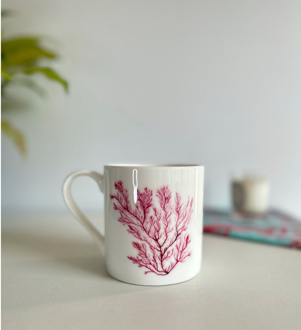 Seaweed mug, Life of the Ocean, Seaweed design, Fine Bone China Mug by Sarah Epsom