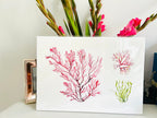 Seaweed Giclée Art Print, Seaweeds, Coastal theme - by Sarah Epsom