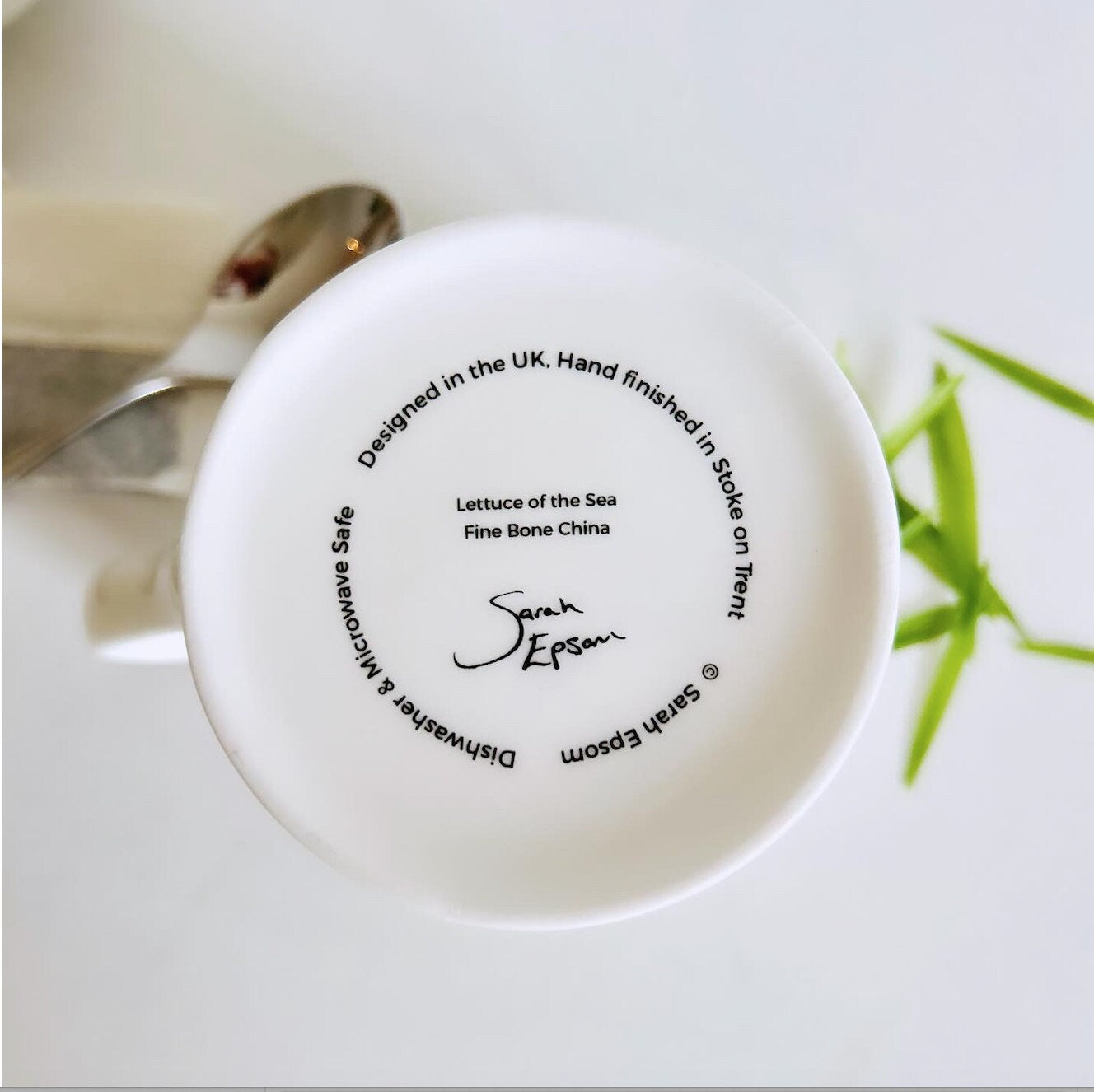 Seaweed Mug, Lettuce of the Sea, Seaweed design, Fine Bone China Mug, Coastal Homeware, Coastal Kitchenware, Coastal mug