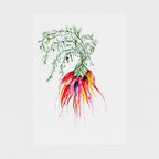 Bunch of Carrots | A3 Giclée on Hahnemühle German Etching Paper by Sarah Epsom