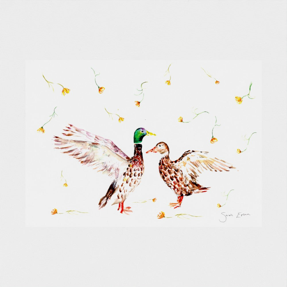 Ducks Watercolour A3 Giclée on Hahnemühle German Etching Paper - by artist Sarah Epsom