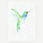 Hummingbird Hardback Journal, Watercolour Art, A5 Notebook, Plain Paper, by Sarah Epsom